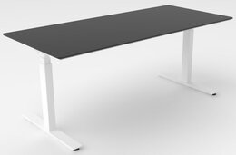 elektrisch verstelbaar