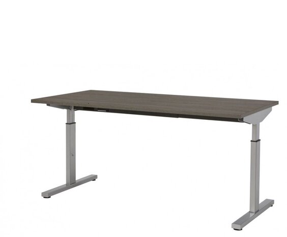 Easy in hoogte instelbaar bureau 120 x 80 cm