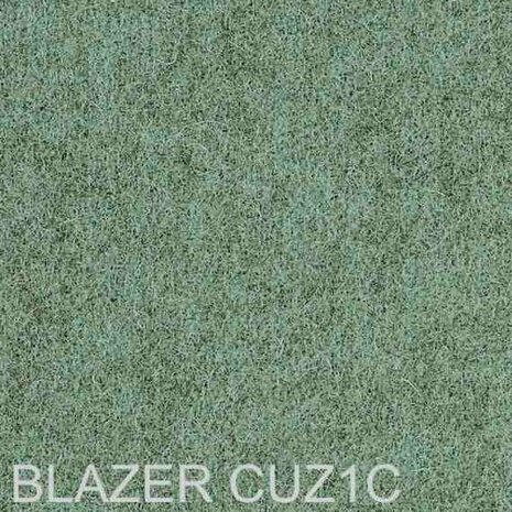 Blazer CUZ1c