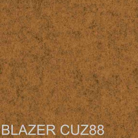 Blazer CUZ88