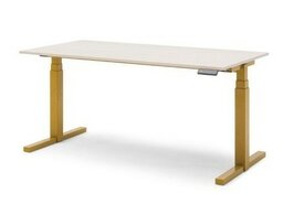 Gispen zit sta bureau TMNL elektrisch verstelbaar