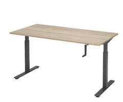 Zit sta bureau – slingerverstelbaar